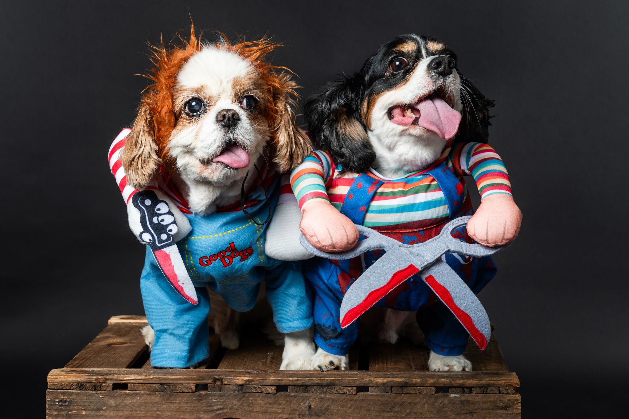 Lieblingsbilder auswählen